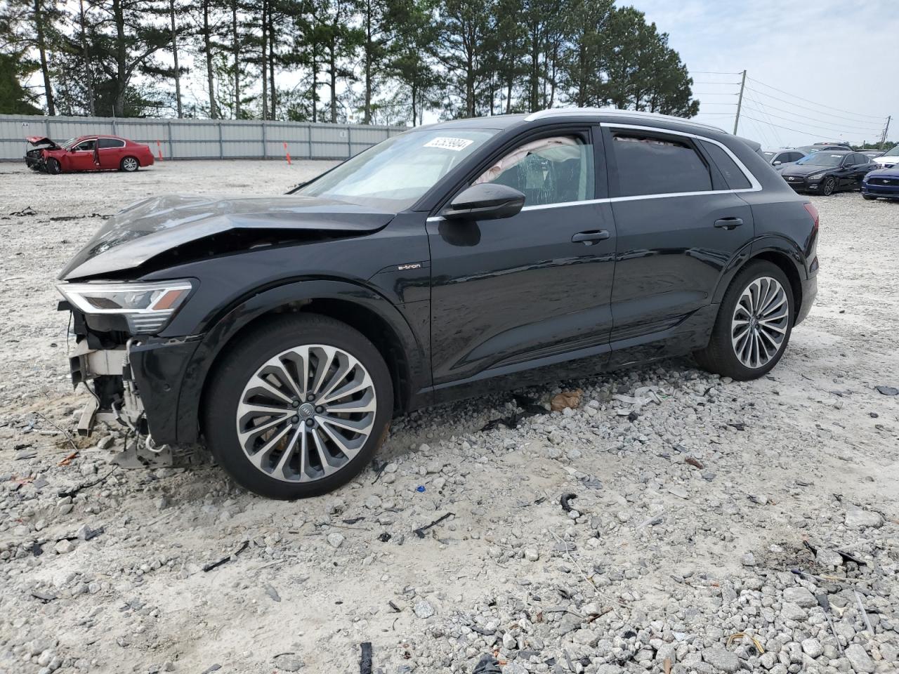 2019 AUDI e-tron