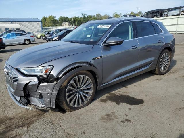 2019 AUDI e-tron