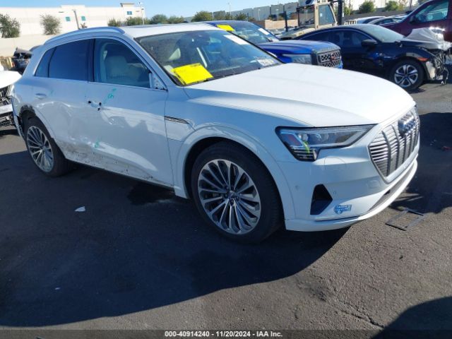 2019 AUDI e-tron