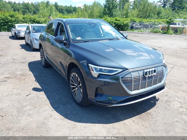 2019 audi e-tron