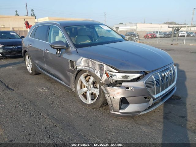 2019 AUDI e-tron