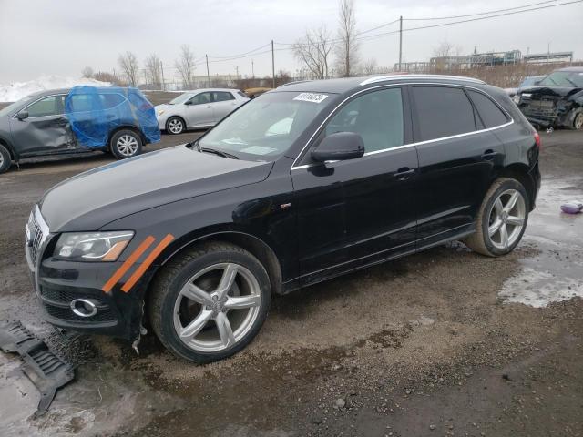 2011 audi q5 prestig