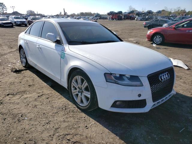 2010 audi a4 premium