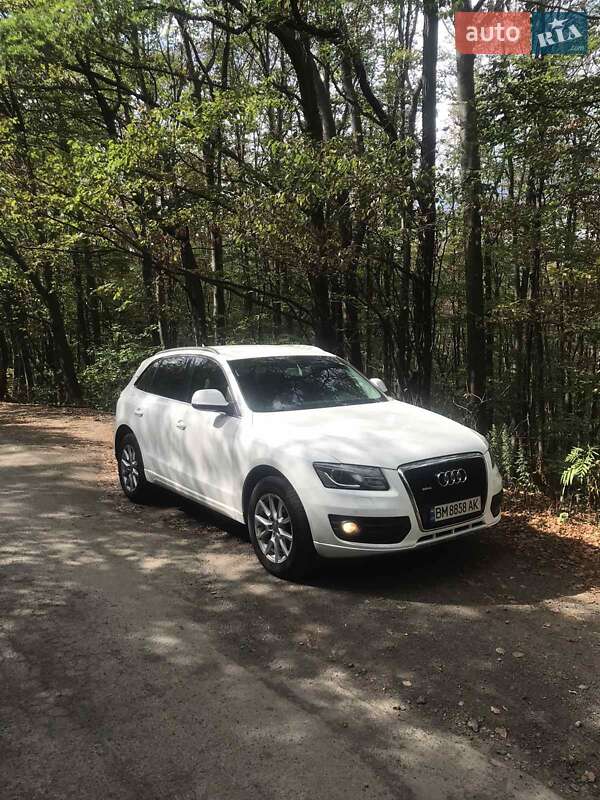 2010 audi q5