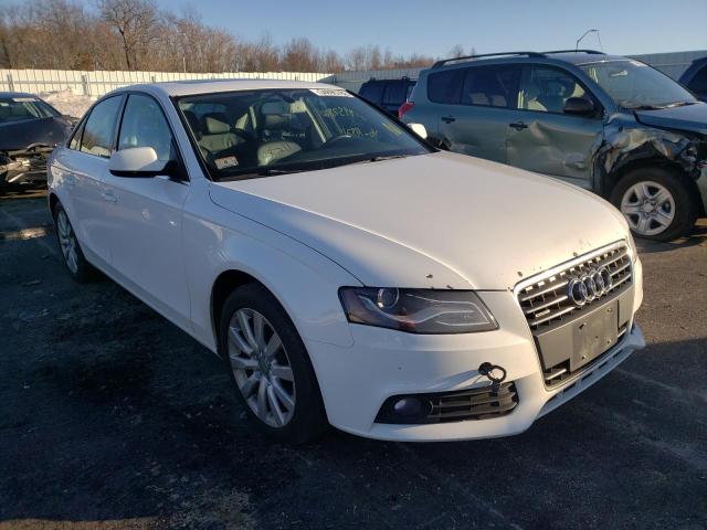 2010 audi a4 premium