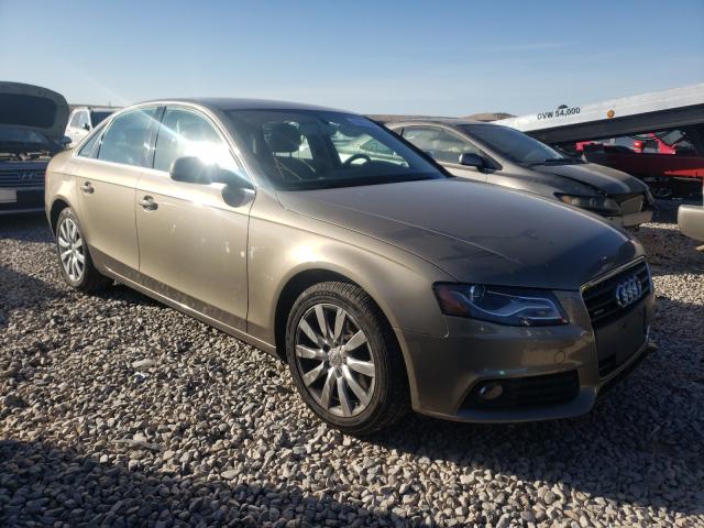 2010 audi a4
