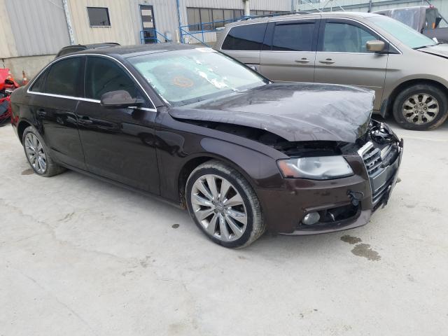 2010 audi a4 prestig