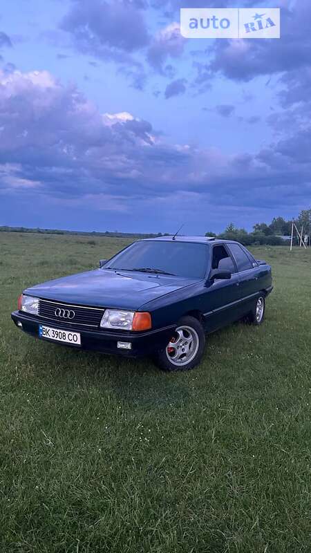 1989 audi 100