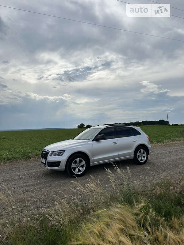 2010 audi q5