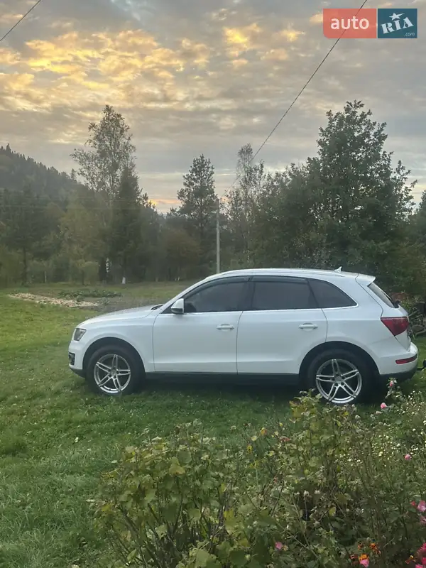 2011 audi q5