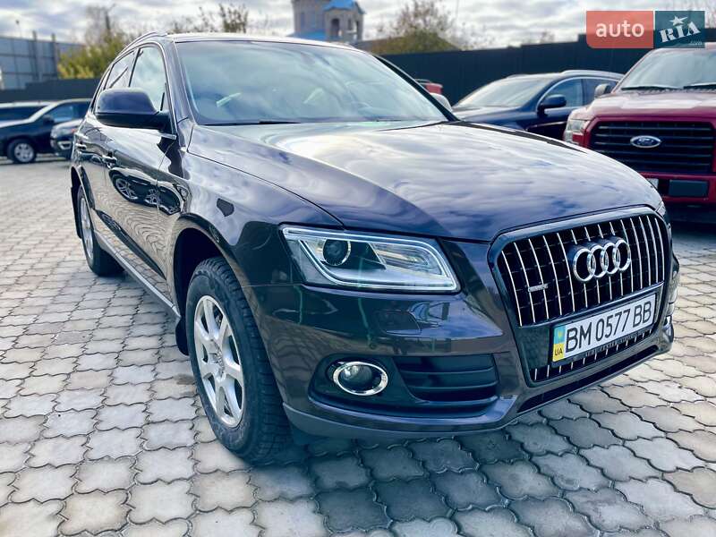 2013 audi q5