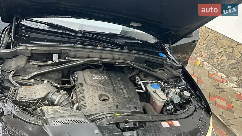 2010 audi q5