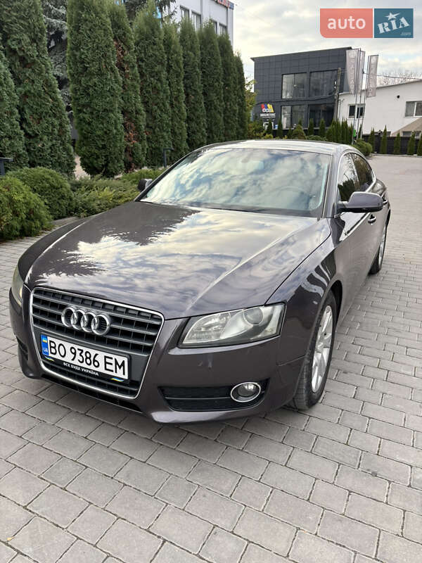 2010 audi a5