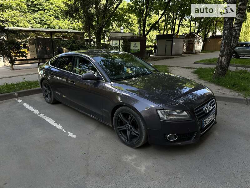 2010 audi a5 sportback