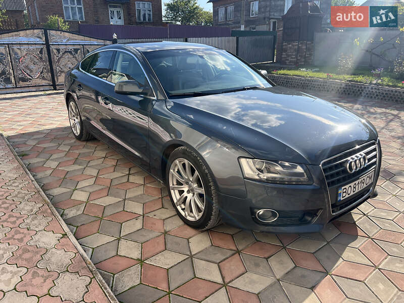 2010 audi a5