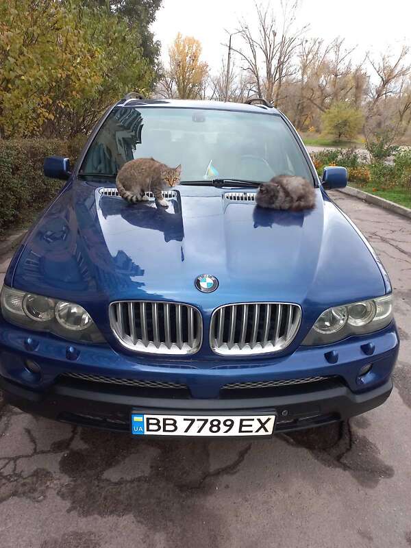 2006 bmw x5