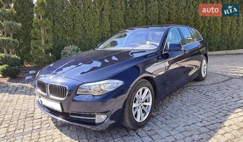 2010 bmw 520