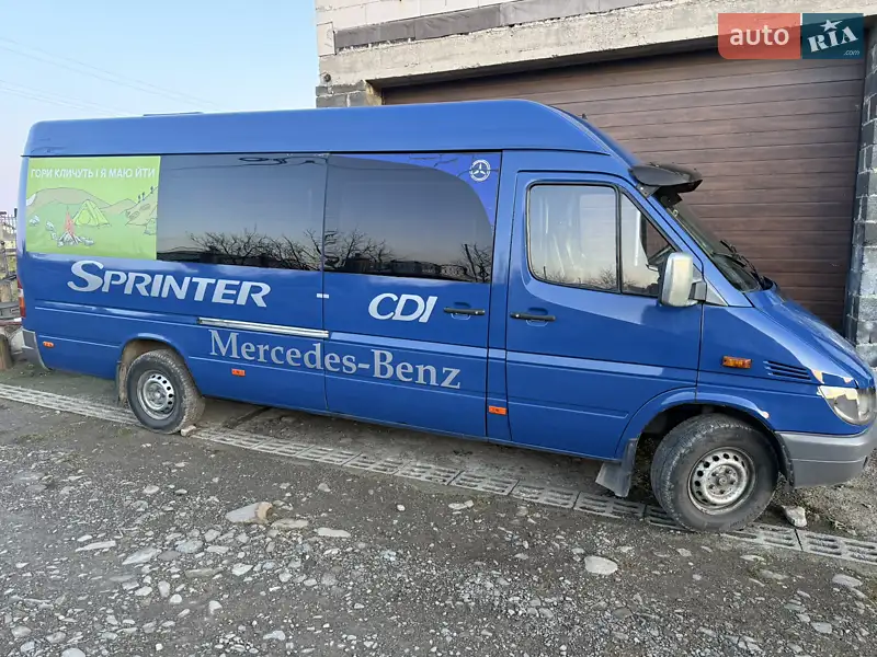 2003 mercedes-benz 313cdi-pe