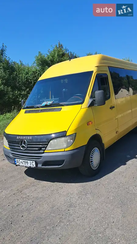 2003 mercedes-benz 311 d