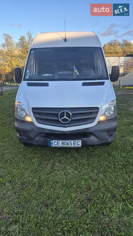 2010 mercedes-benz sprinter 519