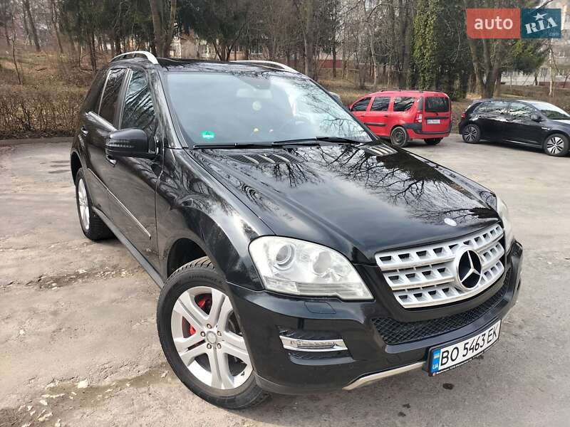 2010 mercedes-benz m-class
