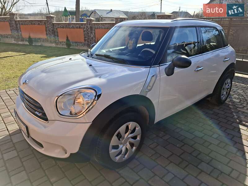 2013 mini one