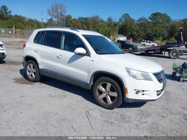 2010 volkswagen tiguan