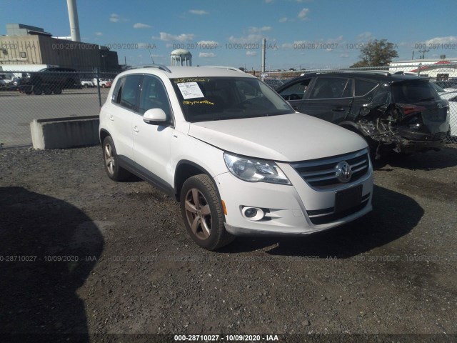 2010 volkswagen tiguan