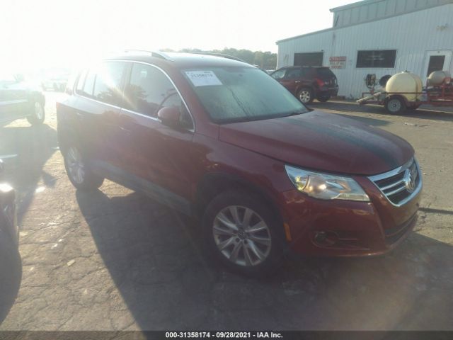 2010 volkswagen tiguan