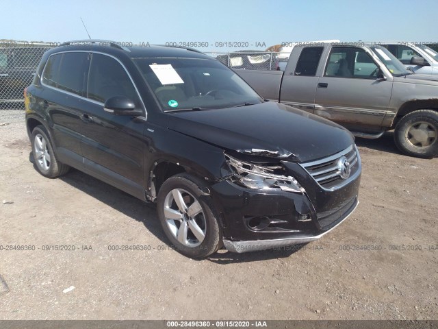2010 volkswagen tiguan