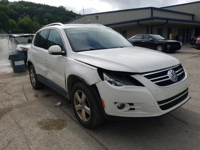 2010 volkswagen tiguan