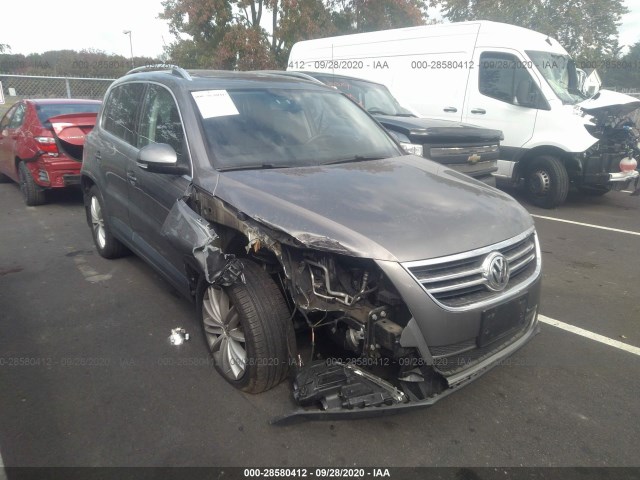 2010 volkswagen tiguan