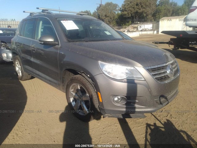2010 volkswagen tiguan