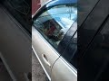 2001 volkswagen passat