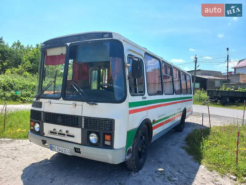2006 paz 4234