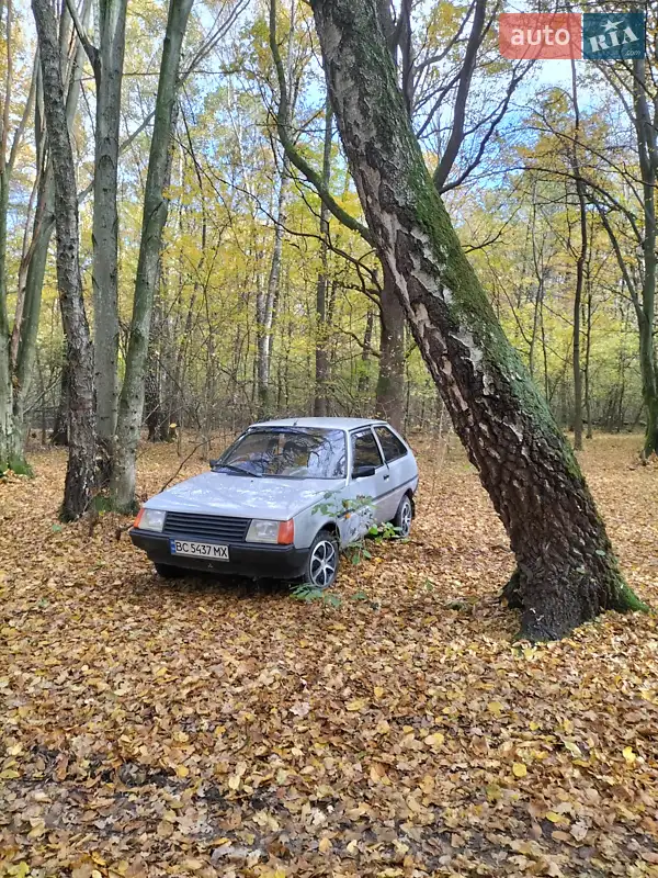 2004 zaz 110217