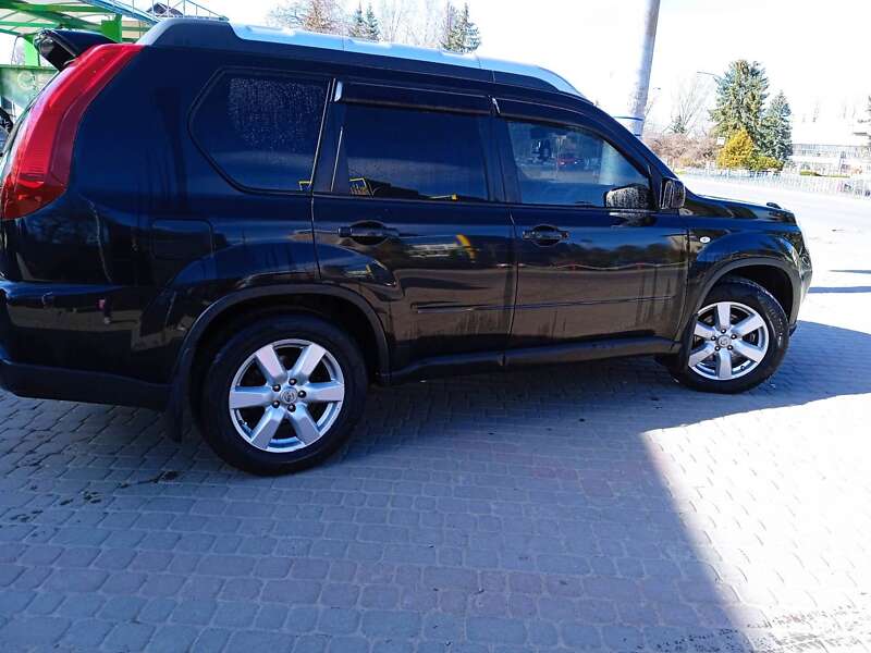 2013 palych z02613