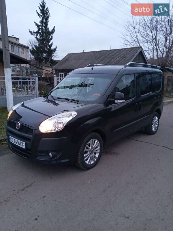 2010 fiat doblo