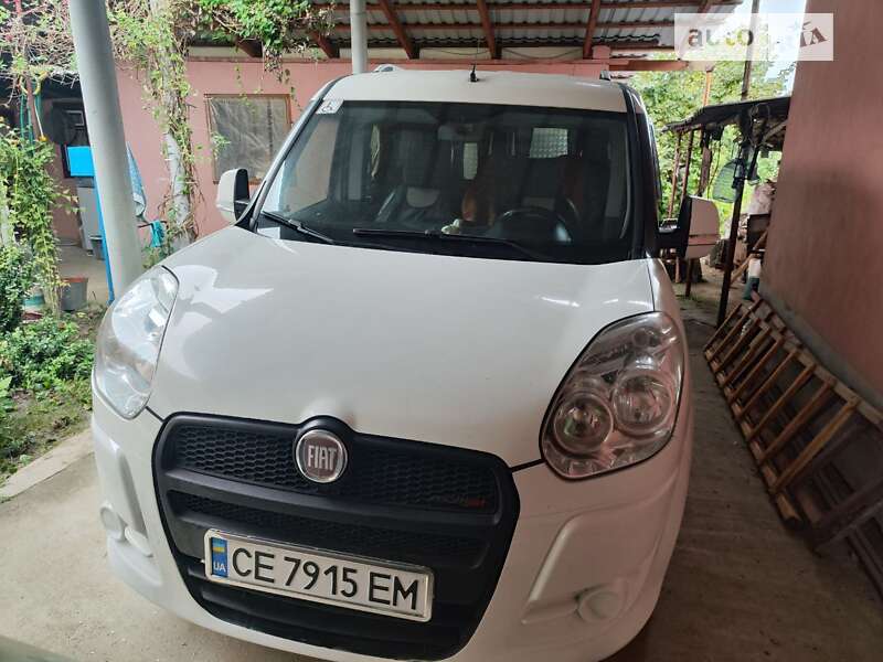 2011 fiat doblo